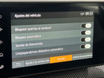 Dacia Sandero Stepway Expression miniatura 17